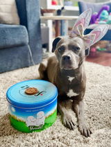 Instagram @pibblehaus review photo