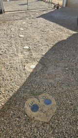 Jim Reeves review photo
