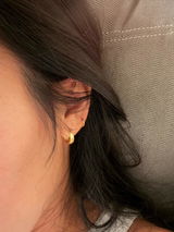 Sjb review photo