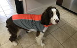 bArctic Light Therapy & Cooling Dog Shirt - No Water Required! (powered by Coolvio® patented technology)