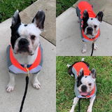 bArctic Light Therapy & Cooling Dog Shirt - No Water Required! (powered by Coolvio® patented technology)