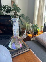 Chayce C. review photo