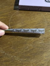Sophia H. review photo