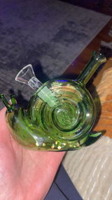 Ashlyn C. review photo