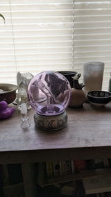 Mechelle C. review photo