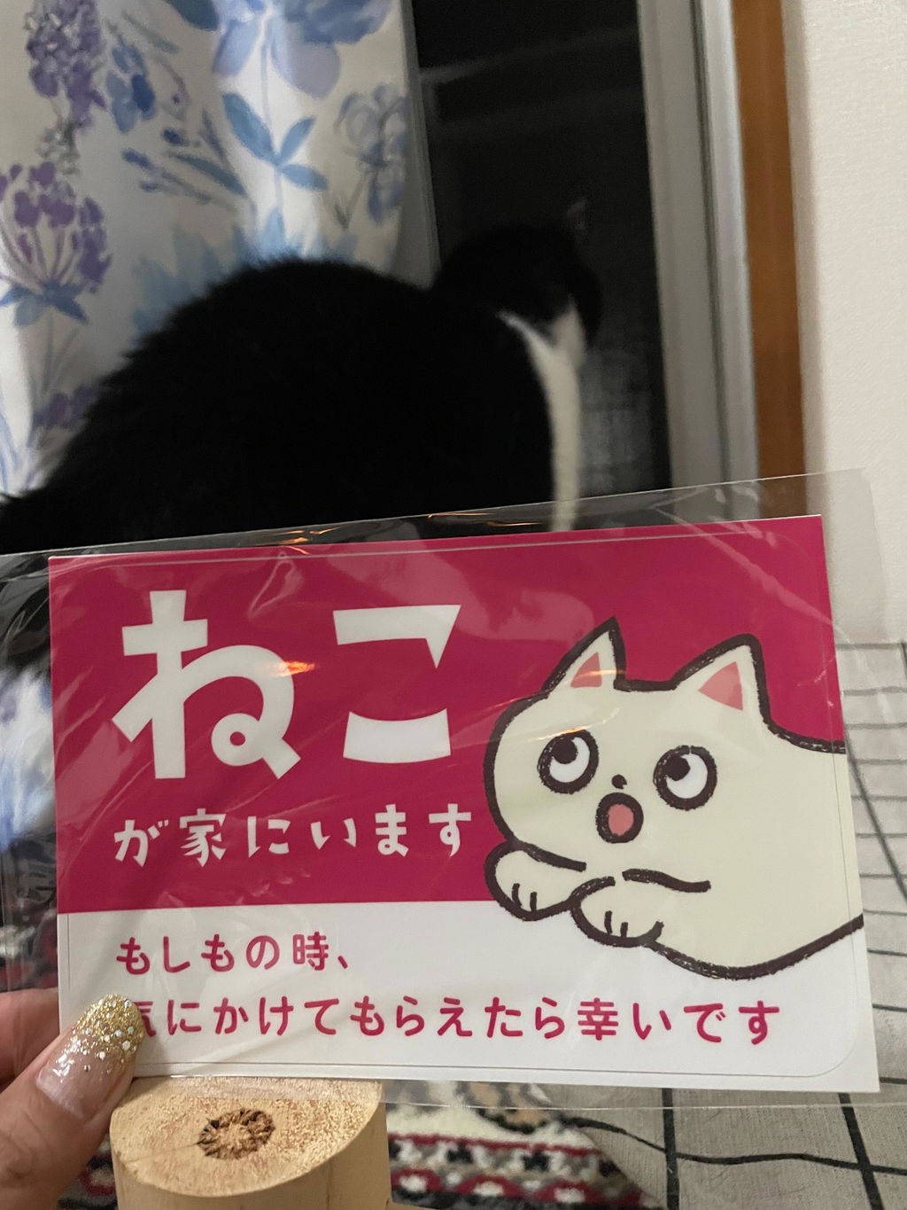 家ねこステッカー【大】｜車・玄関・ポストに｜猫が家にいますを伝えるペット防災シールのレビュー写真