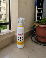Neha review photo