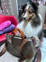 Sallyのパパ review photo