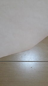春は春 review photo