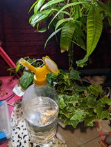 R.T. review photo