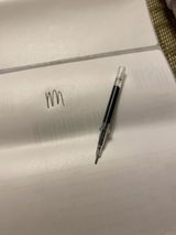 S.L. review photo