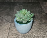 K. review photo