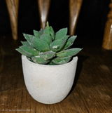 K. review photo