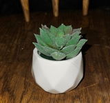 K. review photo