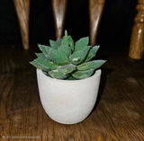 K. review photo