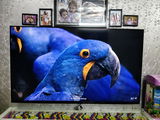 Mr.Jayendra review photo