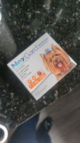 Jessyca Nogueira review photo