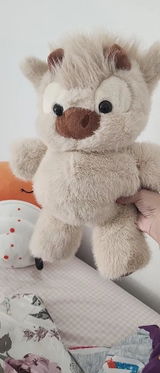 T***o review photo