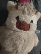 T***o review photo