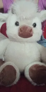 AliExpress Shopper review photo