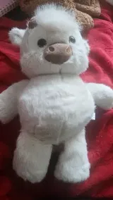 AliExpress Shopper review photo