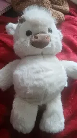 AliExpress Shopper review photo