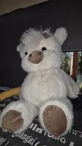 AliExpress Shopper review photo