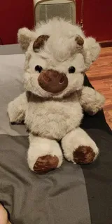 AliExpress Shopper review photo