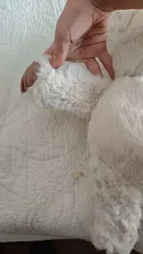 AliExpress Shopper review photo