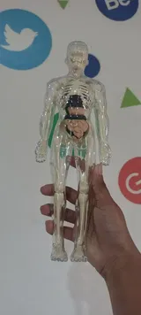 Goyle review photo