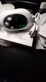 Nikola N. review photo