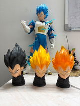 MSP review photo
