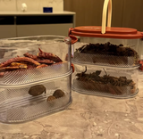 Ainhoa review photo