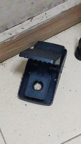 Alejandro Ruiz review photo