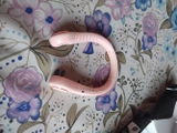 Anshul review photo