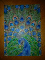 Feli Effertz review photo