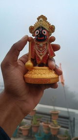 Narayan review photo