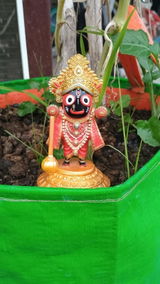 Trilokinath review photo