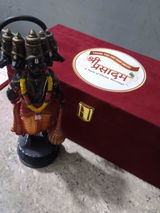 Pallavi review photo