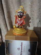 Vikas review photo