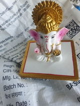 Megha review photo