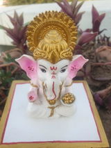 Naveen review photo