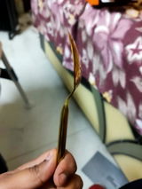 Gagan preet Singh review photo