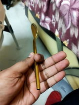 Gagan preet Singh review photo