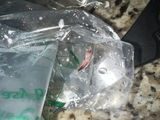 Juan review photo