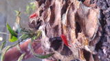 Brett Butler review photo