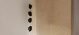 Steven Shisler review photo