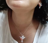 Aish review photo
