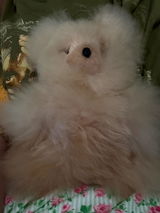 Sonja M review photo
