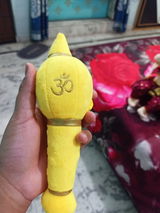 Aayushi Tanwar review photo